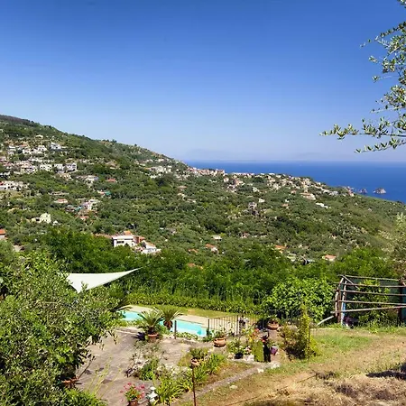 - Dei Galli Villa *
