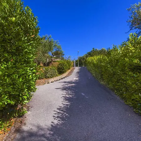 - Dei Galli * Sant'Agata sui due Golfi